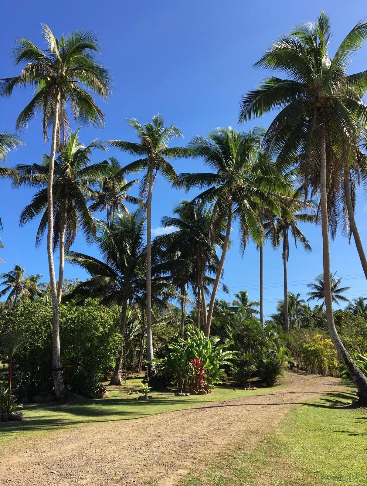 Villa Island Breeze Fiji Savusavu Camera foto